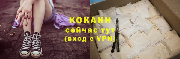 2c-b Краснослободск