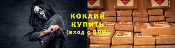 СК Кукмор