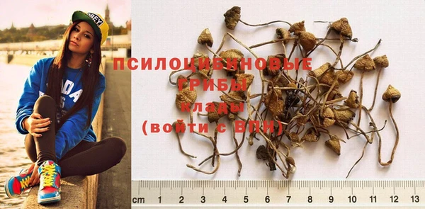 эйфоретик Краснотурьинск