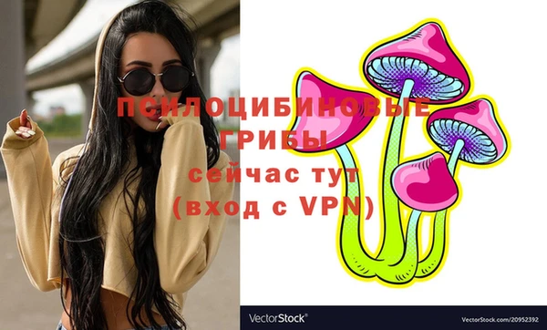 эйфоретик Краснотурьинск