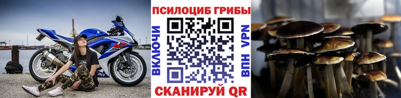 Галлюциногенные грибы мицелий  цены   Кропоткин 