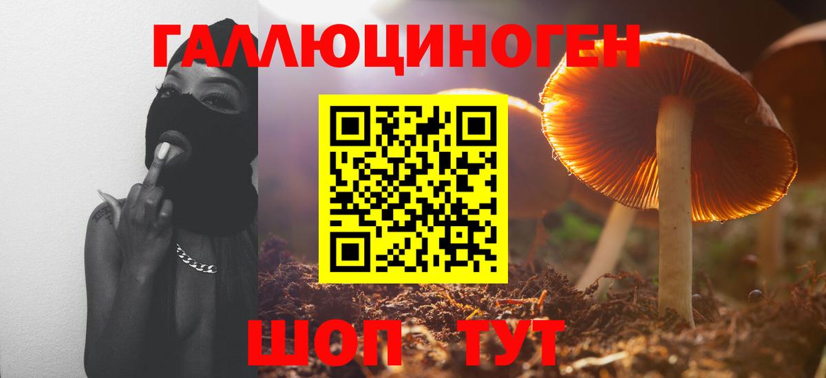 Псилоцибиновые грибы Cubensis Кропоткин
